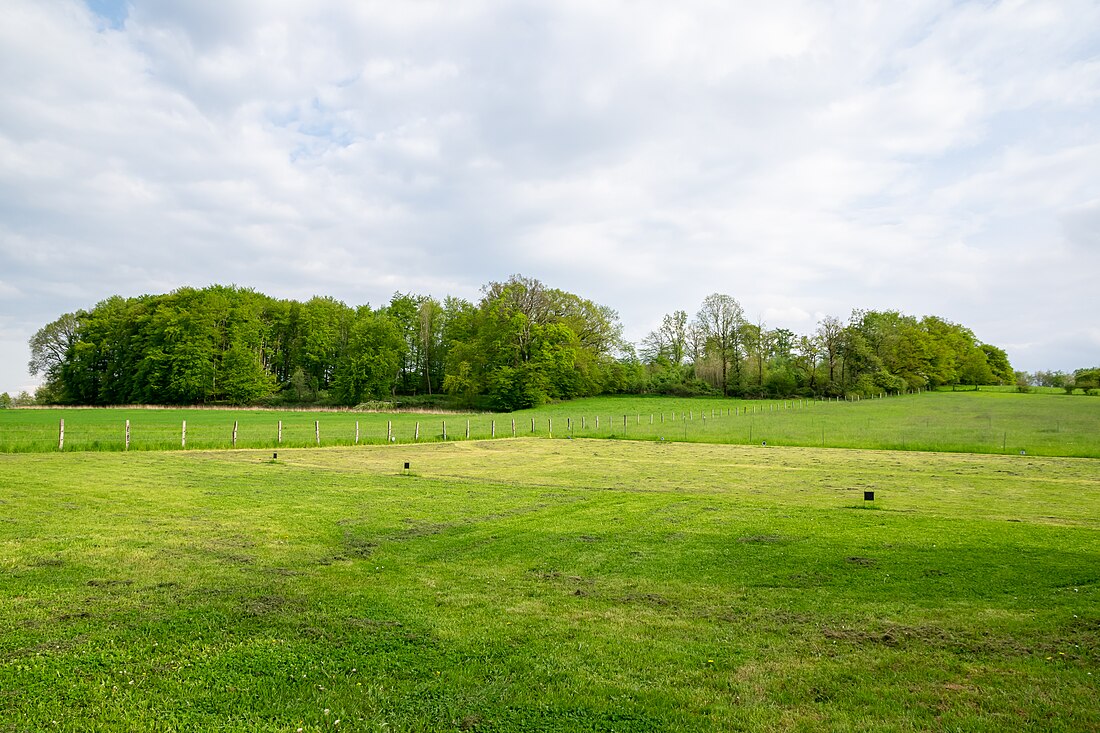 Landschaftsschutzgebiet Almberg