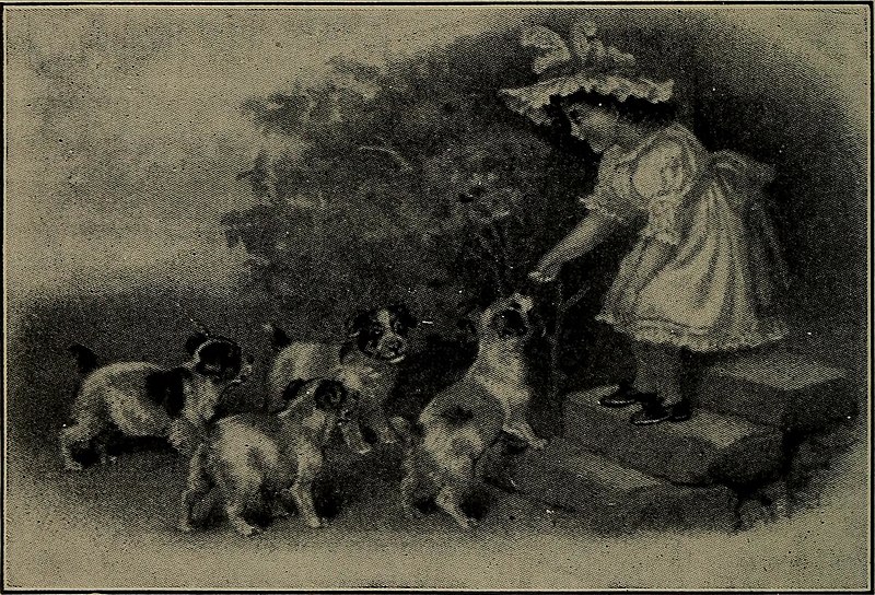 File:Dogs of all nations. In prose and rhyme (1903) (14583814787).jpg