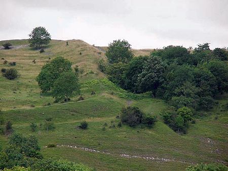 Doleburyhillfort