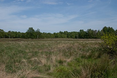 So kommt man zu Dosenmoor mit den Öffentlichen - Mehr zum Ort Hier