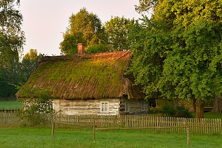 Drewniana chałupa ze wsi Wyryki z 1913 roku Autor: Aniedz