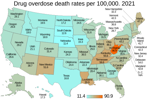 File:Drug overdose death rates per 100,000 by state. US map.svg