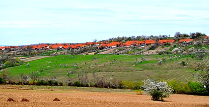 Satul Dubești