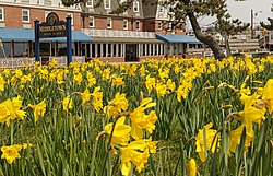 Dunlap-Wheeler Park, Middletown Rhode Island.jpg