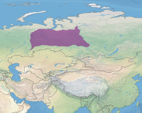 Beschreibung des Bildes der Ökoregion PA0611.svg.