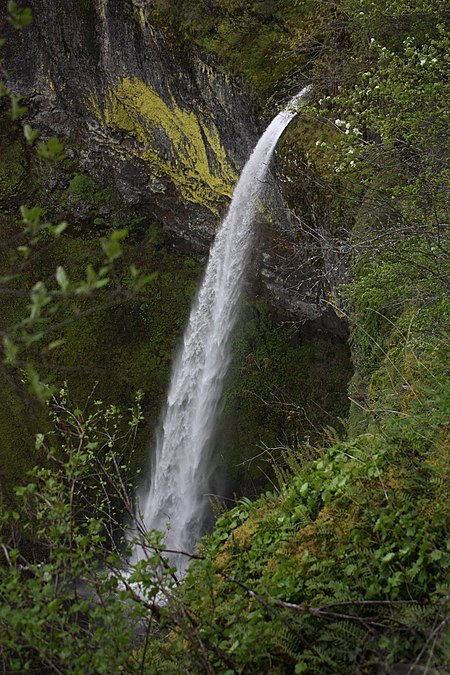 Elowah Falls 2597