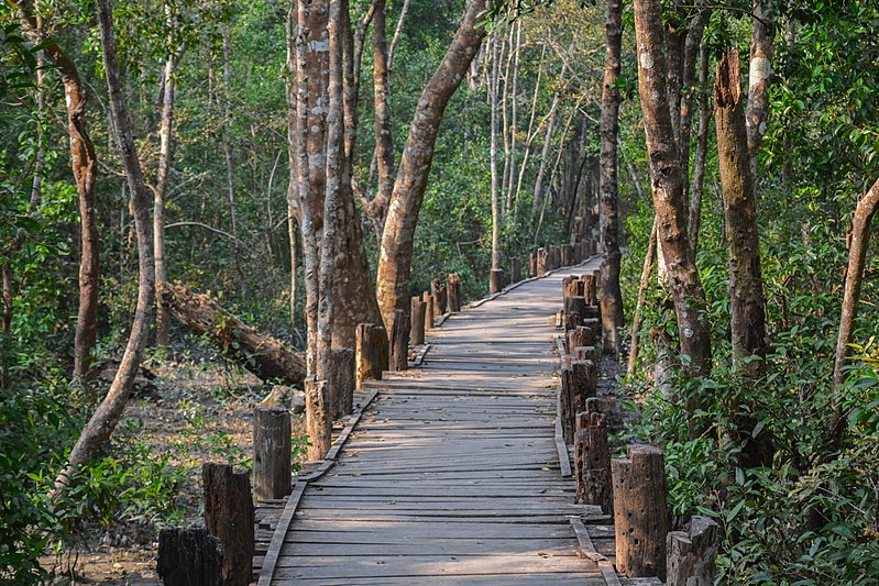 File:Entry of Sundarban Forest ,Bangladesh.jpg