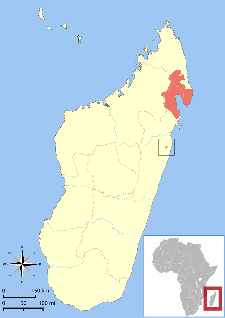 https://upload.wikimedia.org/wikipedia/commons/thumb/9/9f/Eulemur_albifrons_range_map.svg/744px-Eulemur_albifrons_range_map.svg.png