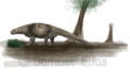 Eunotosaurus africanus Um réptil primitivo parente das tartarugas Comprimento: 30 cm