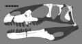 Eustreptospondylus