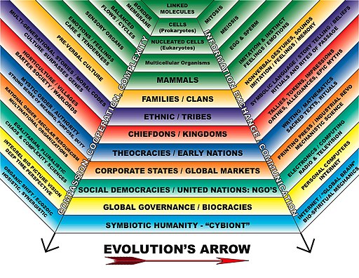 Evolution's Arrow