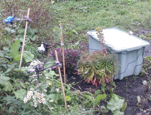 Prototype field deployable Rana prototype (in grey box) with three cameras (on bamboo poles) monitoring floral patch on an allotment FieldP.png