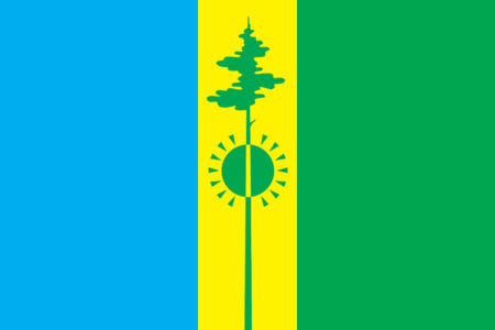 Flag of Nizhnekamsk rayon (Tatarstan).png