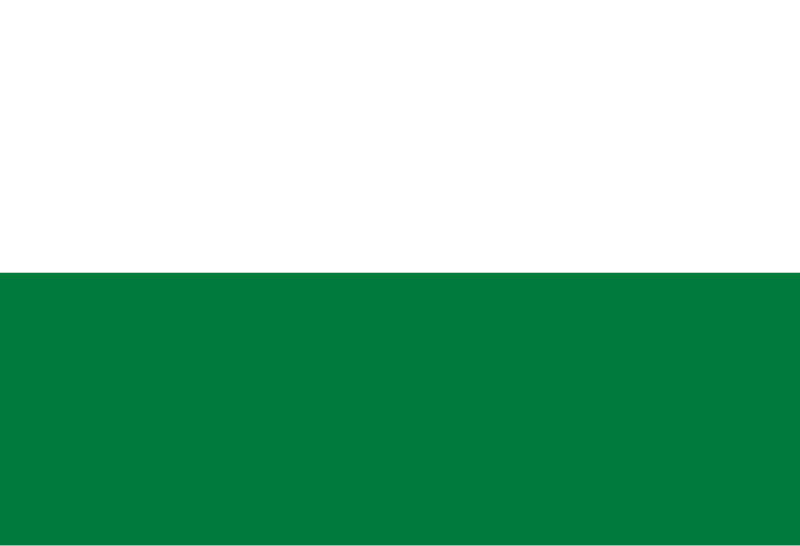 File:Flag of Pando.svg