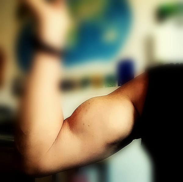 File:Focus on your biceps - Flickr - Stiller Beobachter.jpg