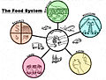 Foodsystem.jpg