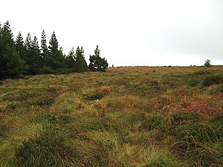 Upper Woods Barony in Leinster, Republic of Ireland