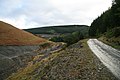 Forest road beside the Nant Bai - geograph.org.uk - 783328.jpg