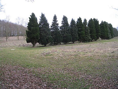 File:Former break between fairways - geograph.org.uk - 1746876.jpg