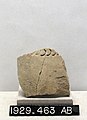 Fragments of Unglazed Jar - YDEA - 3610.jpg