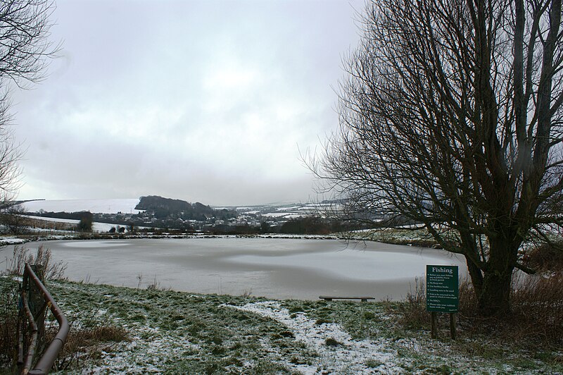 File:Frozen lakes at Nettlecombe Farm.JPG