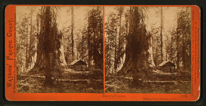 File:Galen's Hospice, Mariposa Grove, Mariposa County, Cal, by Watkins, Carleton E., 1829-1916 5.jpg