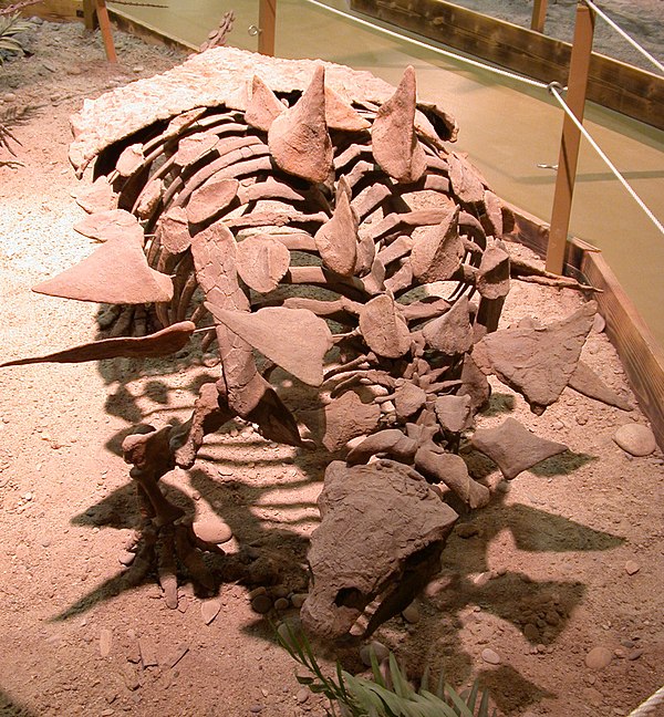 Gastonia and other polacanthine dinosaurs have uncertain placement, possibly within Ankylosauridae