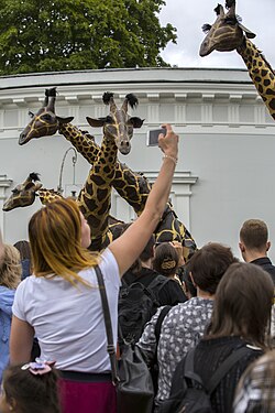 Performance of the Teatro Pavana (Holland) on the International Festival of Street Theatres “Elagin park”