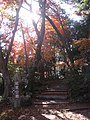 Gokasho koyo park 2014-11-27a.JPG