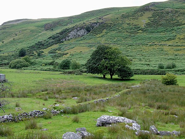 Hill farm at Cwm Brefi