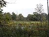 Great Swamp National Wildlife Refuge‎, just outside Long Hill