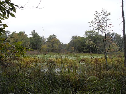 Great Swamp National Wildlife Refuge‎, just outside Long Hill