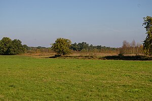 Large Renzeler Moor near Renzel