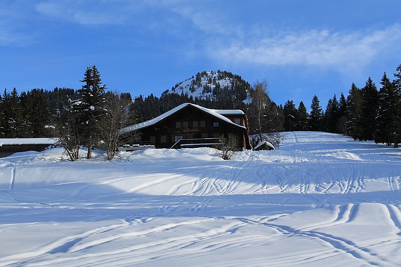 File:Gstaad - Schönried - Saanenmöser - panoramio (41).jpg