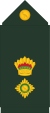 Guyana Defence Force (GDF) Lt Colonel rank insignia.svg