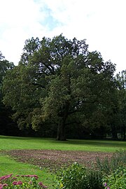 HIBU Park 05.jpg