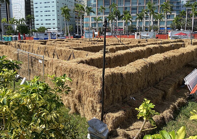 File:Hay Maze Bayfront Park Downtown Miami FL.jpg