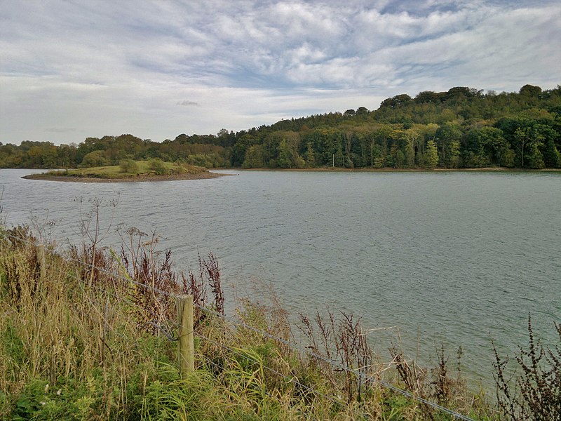 File:Head of Carsington Water reservoir - geograph.org.uk - 3187256.jpg