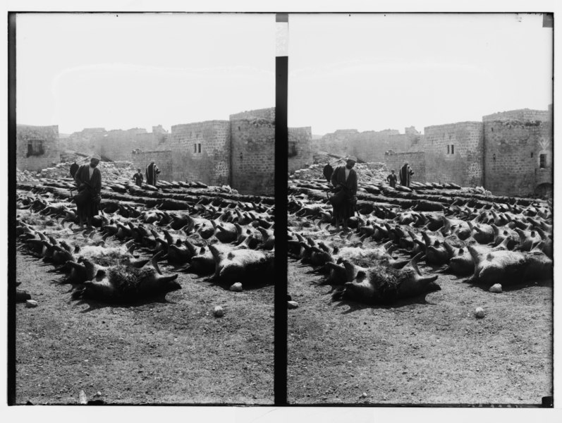 File:Hebron. Tanning of govt. skins LOC matpc.04962.tif