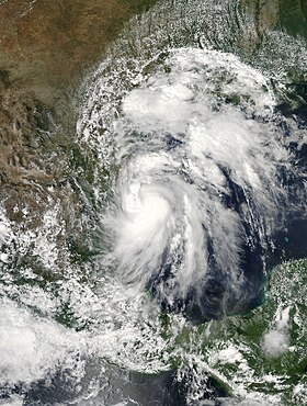 imagem ilustrativa de artigo Tempestade tropical Hermine (2010)