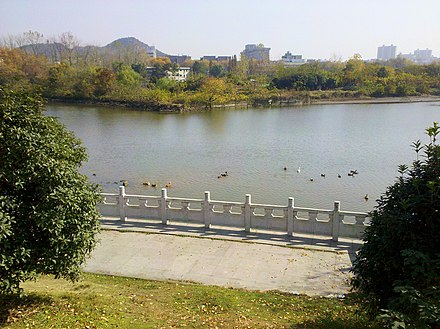 Hongshan District