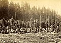 Hop pickers in McCratey's Hop Field, Washington, circa 1889-1891 (BOYD+BRAAS 129).jpg