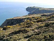 Klippen auf Howth Head mit Baily Lighthouse im Hintergrund