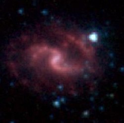 IC 1296