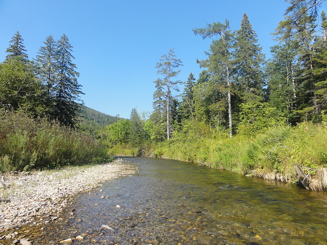 Zapovednik Bottsjinski