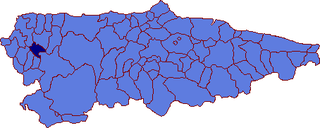 <span class="mw-page-title-main">Illano</span> Municipality in Asturias, Spain