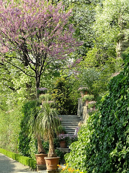 File:Isola Bella (Stresa) - Garden - DSC03509.JPG