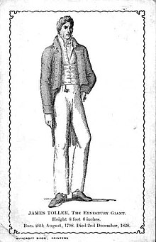 James Toller, the "Eynesbury Giant" James-toller.jpg