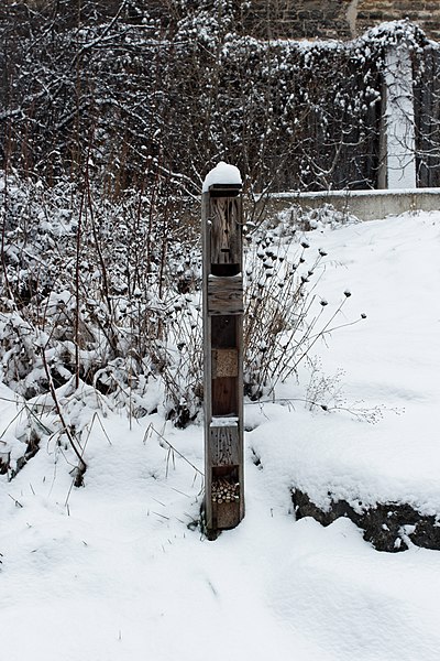 File:Jardin naturel (Paris) sous la neige 19.jpg