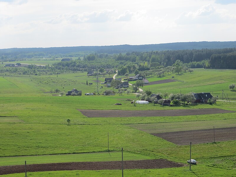 File:Jonakalnis, Buivydžių sen.jpg